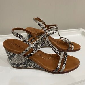 Gentle Souls Snakeskin Wedge